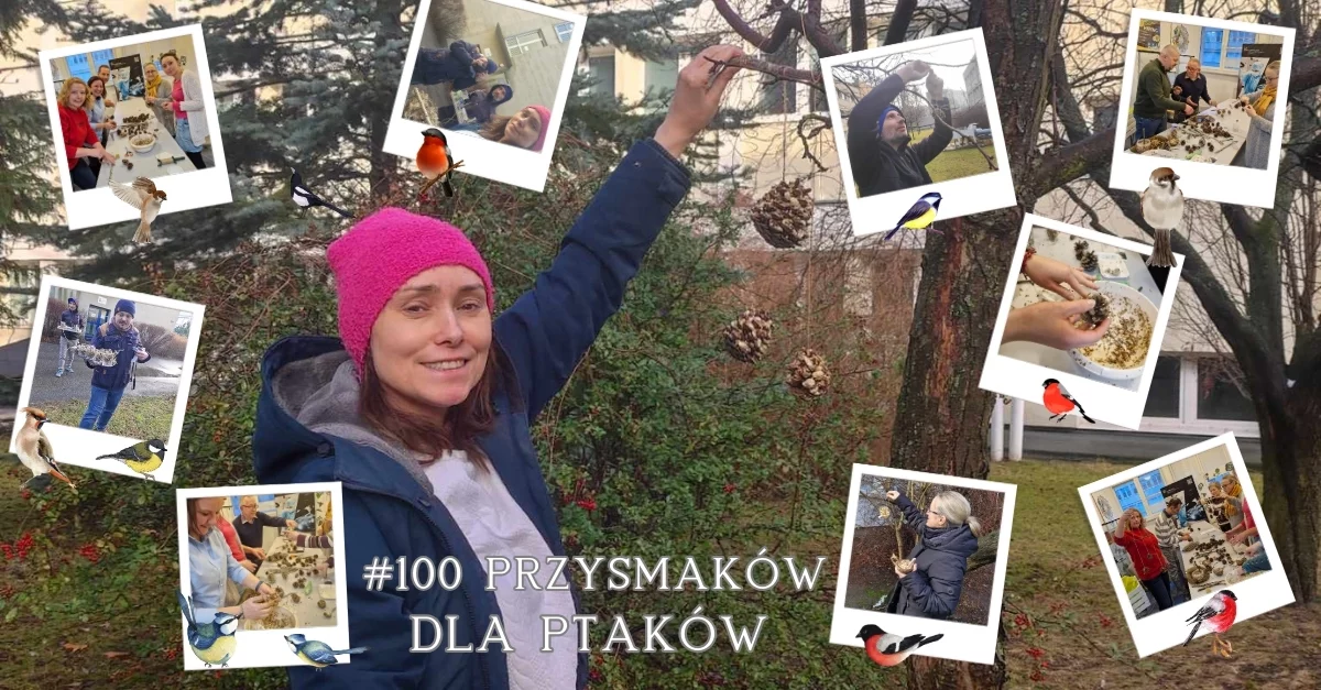 mozaika zdjęć instax oraz nagłówek "#100 przysmakó dla ptaków"