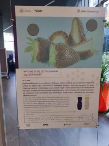 Zdjęcie z wydarzenia "Dzień fotoniki"