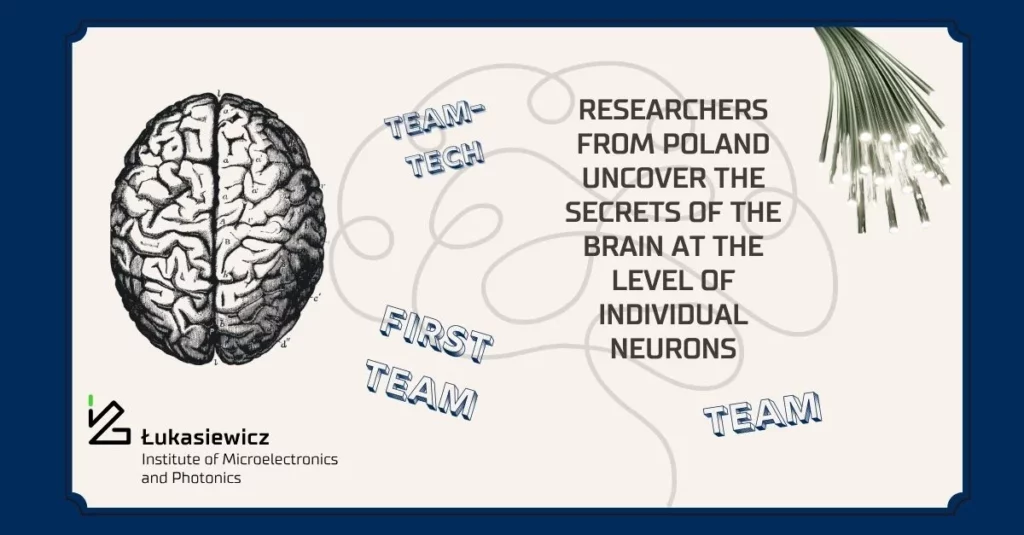 rysunek mózgu i lampek na beżowym tle, napisy "team-tech, first team. team, researchers from poland uncover the secrets of the brain at the level of individual neurons"