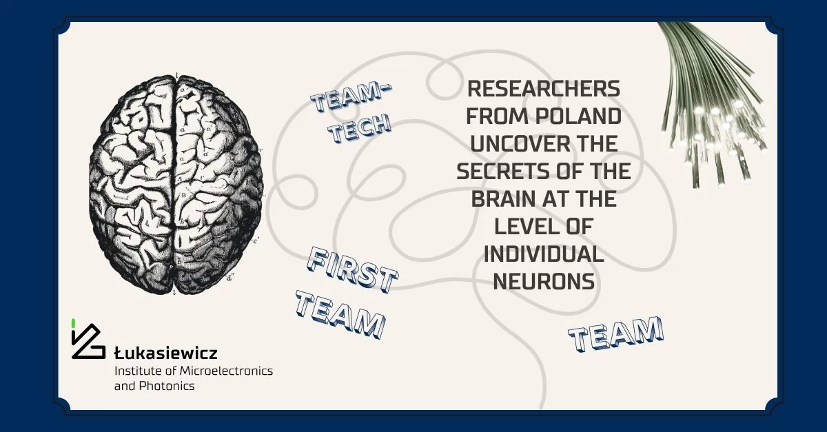 rysunek mózgu i lampek na beżowym tle, napisy "team-tech, first team. team, researchers from poland uncover the secrets of the brain at the level of individual neurons"
